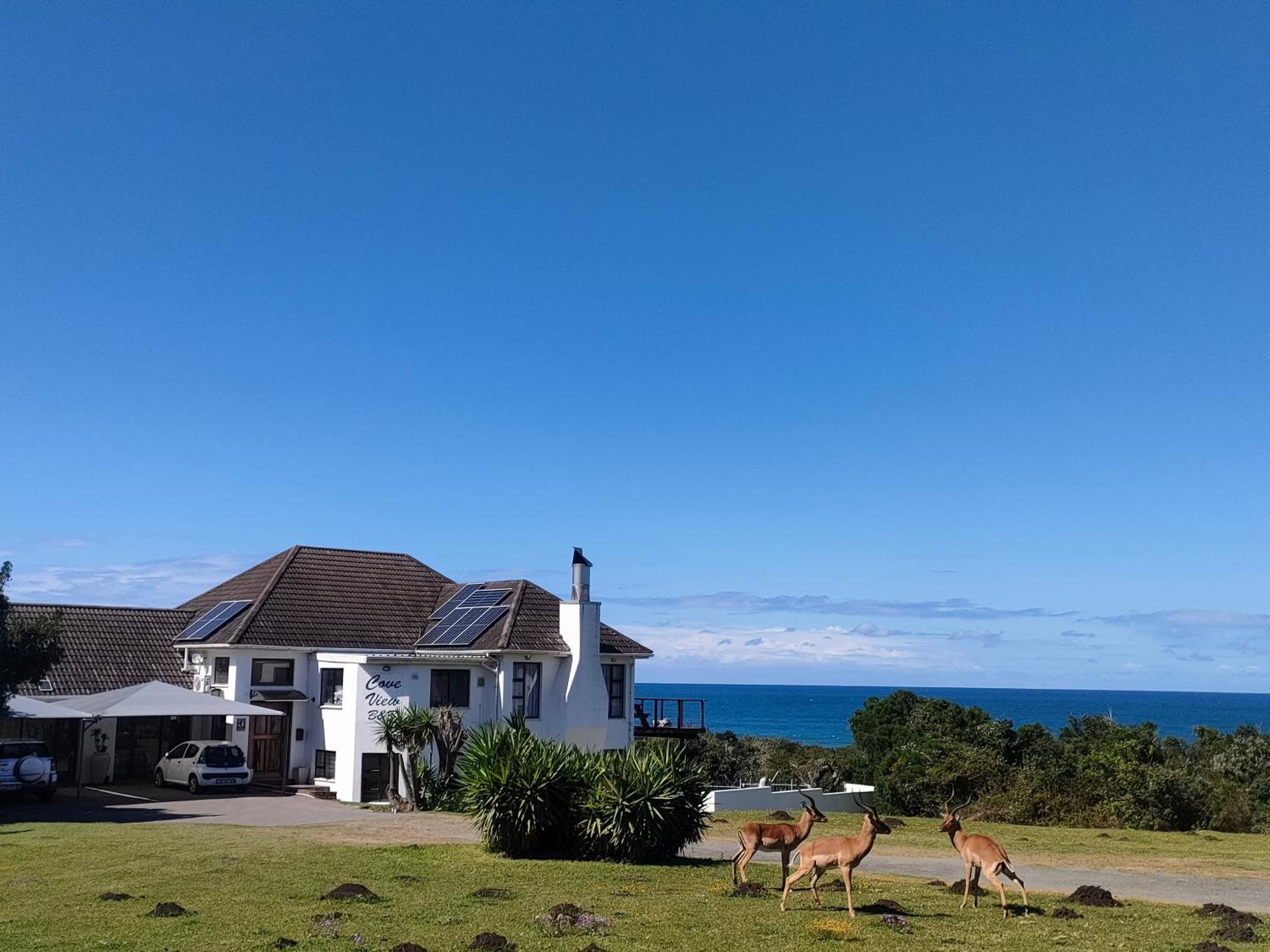 Cove View B&B อีสต์ลอนดอน ภายนอก รูปภาพ